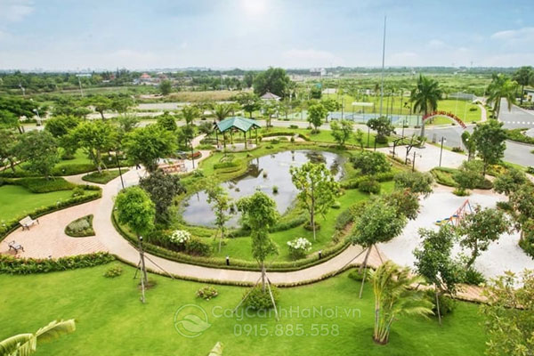 bao-gia-thi-cong-trong-cay-cong-trinh Báo giá thi công trồng cây công trình