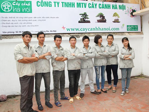 doi-ngu-nhan-vien-nhieu-giau-kinh-nghiem Đội ngũ nhân viên nhiều năm kinh nghiệm