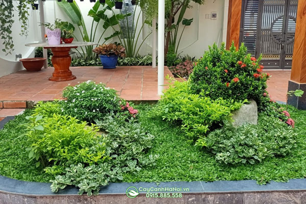 don-vi-thi-cong-canh-quan-san-vuon-uy-tin Đơn vị thiết kế thi công cảnh quan sân vườn uy tín