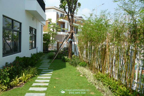 khao-sat-hien-trang-truoc-khi-thi-cong-canh-quan Khảo sát hiện trạng trước khi thiết kế thi công cảnh quan