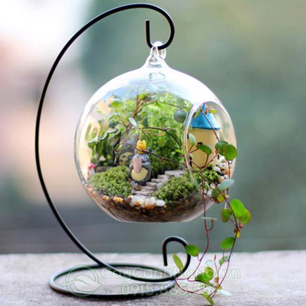 Terrarium để bàn có chân đế treo