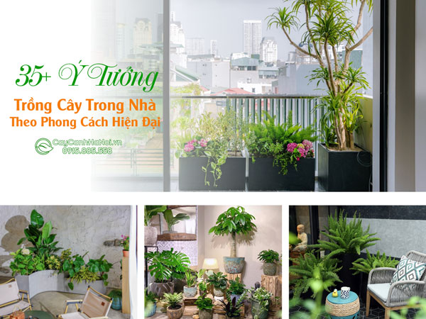 35-y-tuong-trong-cay-canh-trong-nha-1 35+ Ý Tưởng Trồng Cây Trong Nhà Theo Phong Cách Hiện Đại