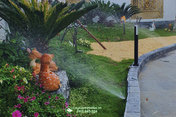 cham-soc-cay-canh-san-vuon-ban-he-thong-tuoi-tu-dong Chăm sóc cây cảnh sân vườn bằng hê thống tưới tự động