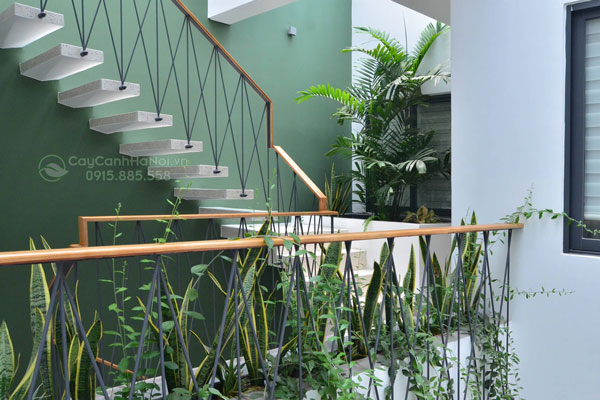 nhung-y-tuong-trong-cay-xanh-trong-nha các ý tưởng trồng cây xanh cực chất trong nhà