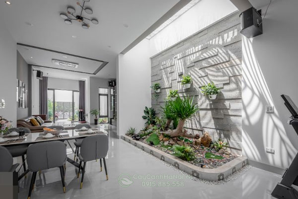 y-tuong-trong-cay-xanh-trang-tri-gieng-troi Ý tường trồng cây xanh trang trí giếng trời